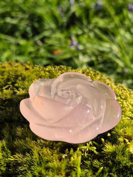 Delicate rose quartz rose upon a mossy patch with bluebells in the background