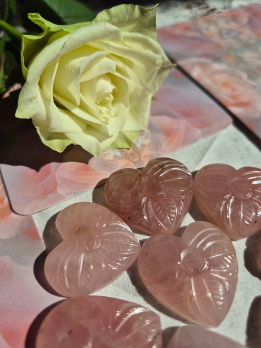 Rose Quartz - A Journey of Earth, Geometry & Healing