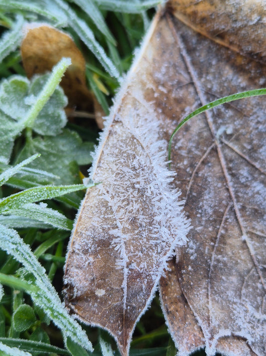 Your Body Is Asking for Less - How to Honour Your Energy in December