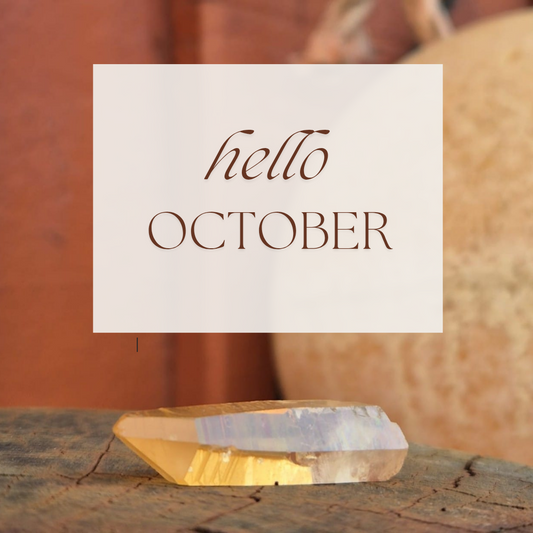 October in my corner of East Devon: Rebalance, Reconnect & Restore